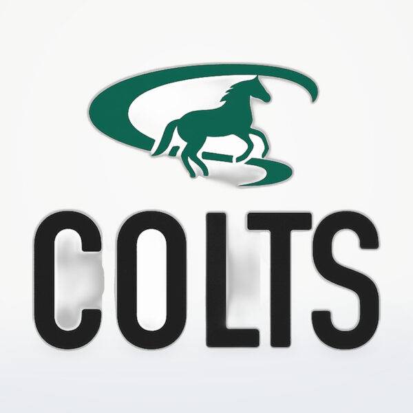 COLTS 40克袋装